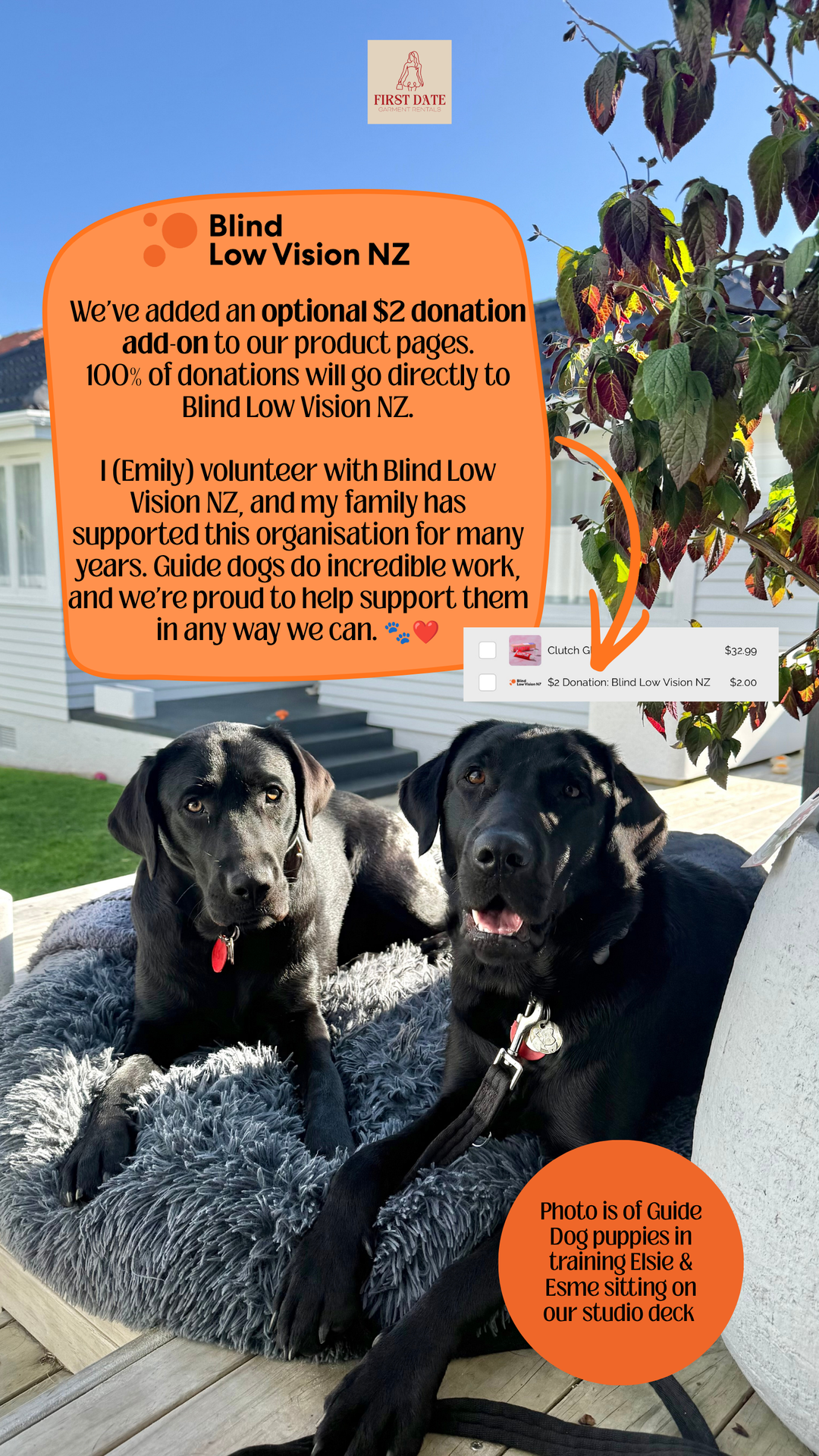 $2 Donation: Blind Low Vision NZ
