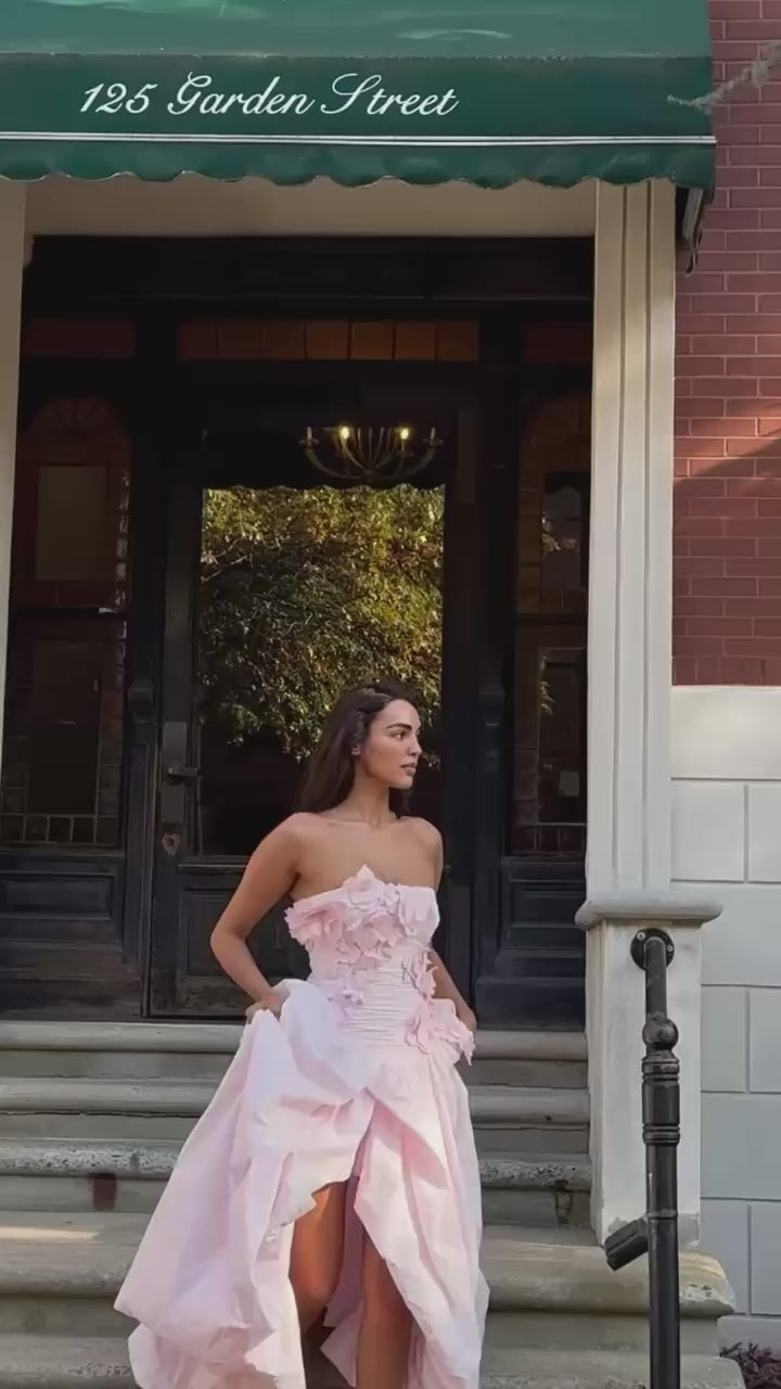 Splendour Gown (Pink)
